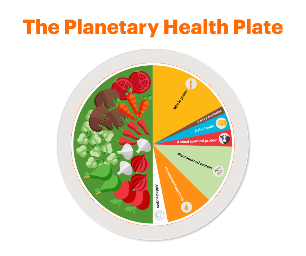 Planetary Health Diet plate from EAT-Lancet